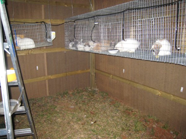 Rabbit Cage Plans