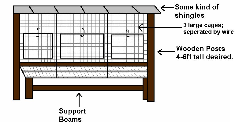 rabbit hutch side and rear rabbit hutch side and rear